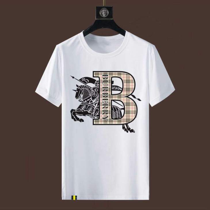 Picture of Burberry T Shirts Short _SKUBurberryM-4XL11Ln7620223